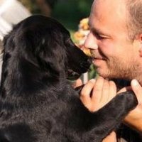 dude with dogs 🐾(@dudewithdogs) 's Twitter Profile Photo