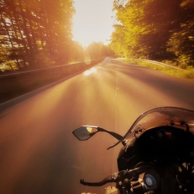 TTrashice's profile picture. Profanar la tumba, al ritmo de la rumba!