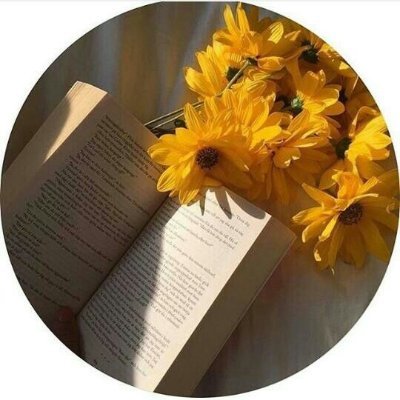 iqraiqr99060841's profile picture. 