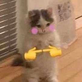 TweetsBevs's profile picture. I sleep and play too much osrs