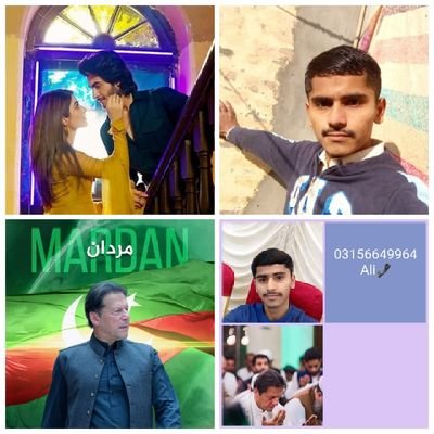 Ali00611410's profile picture. Ali