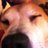 b_woodworth's profile image