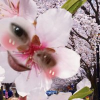 エケケケ (@3163rpwaizbhx1s) 's Twitter Profile Photo エケケケ (@3163rpwaizbhx1s) 's Twitter Profile Photo