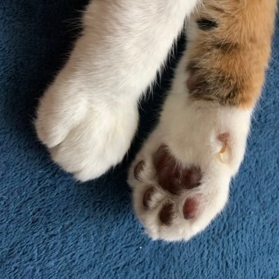 神無月一さんのプロフィール画像