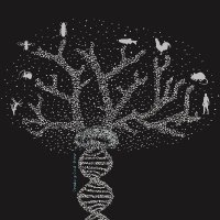 DZG Developmental Biology (@biologydzg) 's Twitter Profile Photo DZG Developmental Biology (@biologydzg) 's Twitter Profile Photo