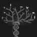 DZG Developmental Biology (@biologydzg) Twitter profile photo DZG Developmental Biology (@biologydzg) Twitter profile photo