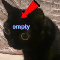 a (@mmmsoupysoup) 's Twitter Profile