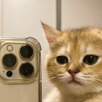 alia (@aliliiaa) 's Twitter Profile