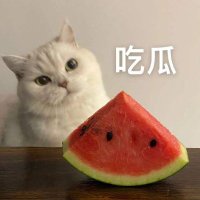 璐璐资讯站(@xiaoliuzixun) 's Twitter Profile Photo