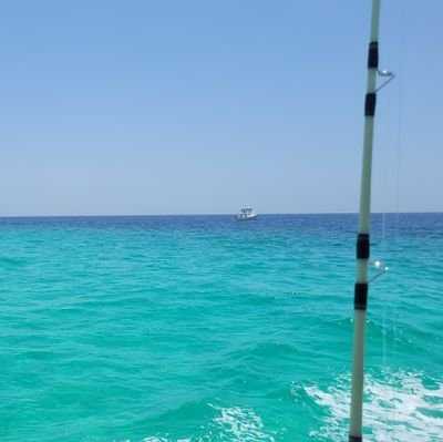 SoccerHeretic's profile picture. Leicester City, Rangers, Le Havre & University of Oklahoma. A dash of youth soccer, economics, poli sci, and current events.