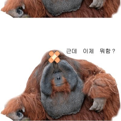 sidsudsid2008's profile picture. 극뽁기