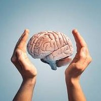 NeuroForum 2025 (@neurobrainforum) 's Twitter Profile