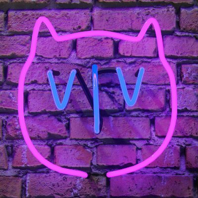 Vivさんのプロフィール画像