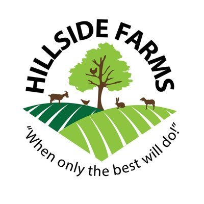hillsidefarmsbb's profile picture. A small farm