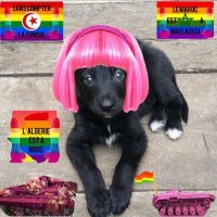 Damien langlois (@tristan8712448) 's Twitter Profile