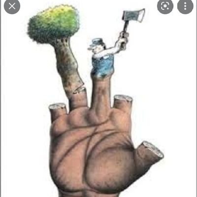 savetrees4life's profile picture. I'm being held hostage