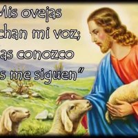 Estelina Gonzalez cta principal Mamajusticiera. (@estelinagonzal2) 's Twitter Profile