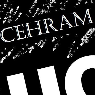 UCL CEHRAM Team