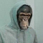 the smoking monkey(@Lafouainrrr) 's Twitter Profile Photo