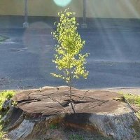 ÜMİTVAR (@umitvarrrrr) 's Twitter Profile