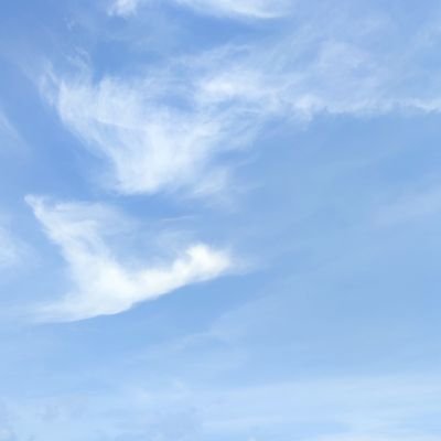 yory45228915's profile picture. Temenin dong