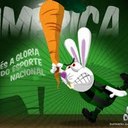 pedro quadros - @QuadrosPedro - Twitter