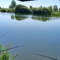 S.J.P (@ocset7440) 's Twitter Profile