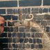 Layth Sahar (@laythsahar) Twitter profile photo Layth Sahar (@laythsahar) Twitter profile photo