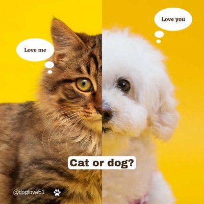 Bringing you the cutest and most irresistible pet products on the market! Join our community of pet lovers and let's give our pets the best life possible!