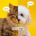 Dog Lover โ (@doglove51) Twitter profile photo Dog Lover โ (@doglove51) Twitter profile photo