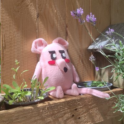 In the Weeds 🌼 Wishlist now!
https://t.co/Tbf3aOuvRn
Totally Ratical Adventures 🐭 OUT NOW on Steam!
https://t.co/nxGNh3BAvE