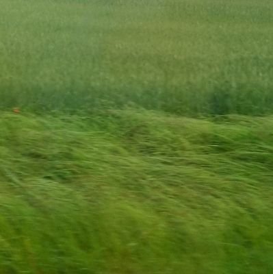 AgGierczak's profile picture. 