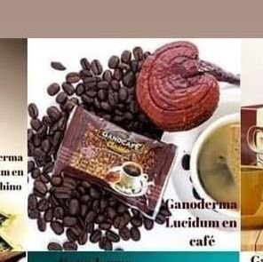 HongoGanod's profile picture. El ganoderma es una planta milenaria con más de 4000 años de historia, conocida como el rey de las hiervas por su alto contenido de nutrientes y antioxidantes.
