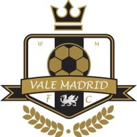 (C) - Vale Madrid Football Club (@valemadrid_fc) 's Twitter Profile