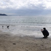 morimo@カメラの人 (@morimomoooo) 's Twitter Profile