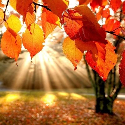 DarleneJoy121's profile picture. 