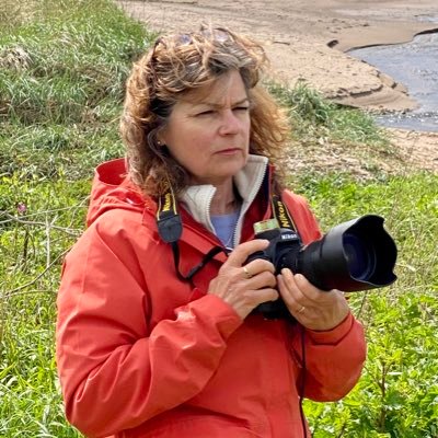 Award-winning Professional Photographer World Gardens, Landscapes, Nature & Light. Tree lover! Drone license. Archive @GardenExposures All Photos©️AndreaJones