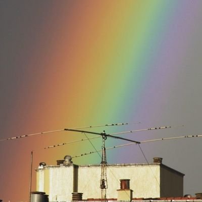 Reaprendiendo a usar Twitter , naturaleza , aves , fotografía , cocina ... Si , soy Álex .