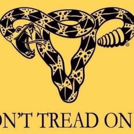 ksgirlatheart's profile picture. Kansas, Houston, Kansas again. No, I don't know Dorothy or Toto, but that was mighty clever of you. But goddammit if I don't love sparkly red shoes.