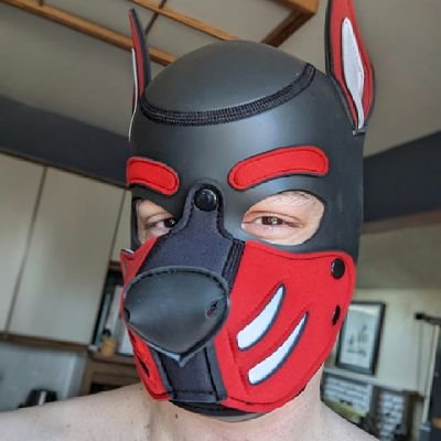 Bark? Awruff! | 🖥️🛠️🚗🎮 | Let kindness rule the world | 🔞 | He/Him | Taken, Poly, Daddy 🐾🏳️‍🌈  | @thesaberedpup💜