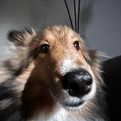 Frizz50's profile picture. Music is my love language  -20