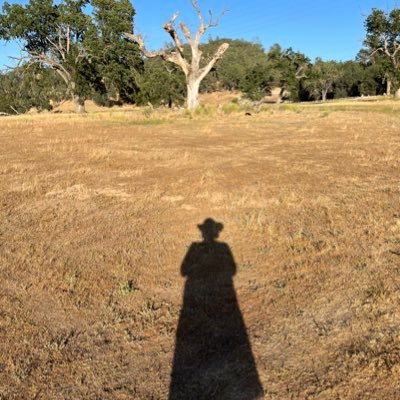 FiredUpMA's profile picture. Weak people feel strong by making others feel weak, strong people feel strong by helping others feel strong. #HarrisWalz2024 #VoteBlue