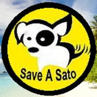 Save a Sato (@saveasato) 's Twitter Profile