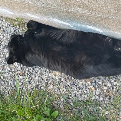 GourvezBernard's profile picture. 