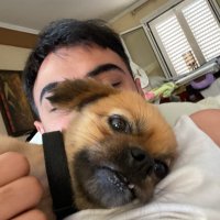 Alex Kotanidis (@kotanidisalex6) 's Twitter Profile