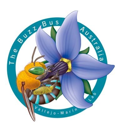 thebuzzbus Profile Picture