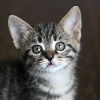 19rQc's profile picture. 