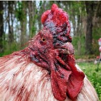 Voluntarist (@voluntarist_) 's Twitter Profile