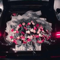 ﮼نشاز. (@nshaz101) 's Twitter Profile