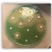 Providence OR ID/Antimicrobial Stewardship Program (@provoregonidasp) Twitter profile photo Providence OR ID/Antimicrobial Stewardship Program (@provoregonidasp) Twitter profile photo
